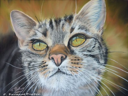Tigrou (pastel sur papier pastelmat 30x40)