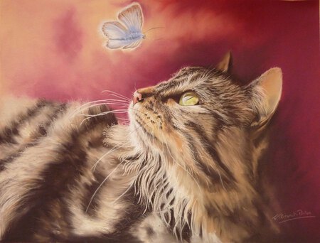 Merlin (pastel sur papier aquarelle et primer colourfix 46x61) collection priv&eacute;e