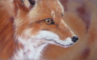 Le renard