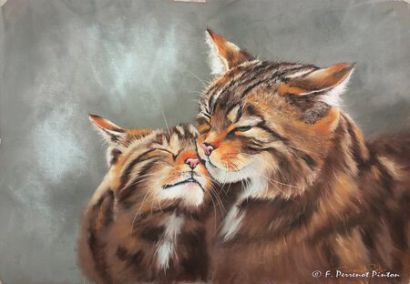 Le calin Pastel d'apr&egrave;s photo Peter G Trimming