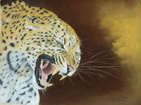 Le leopard
