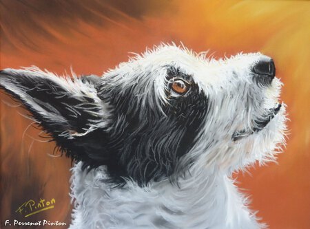 L&eacute;o (pastel sur pastelmat 30 x40)