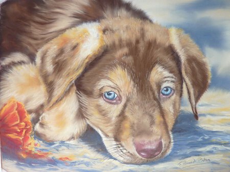 Manfred (pastel sur pastelmat 30 x40)