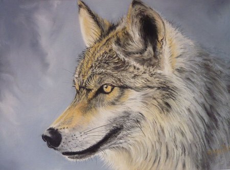Le loup (pastel sur papier aquarelle et primer  colourfix 36x51