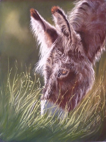 L'ane (pastel sur pastelmat 30x40)