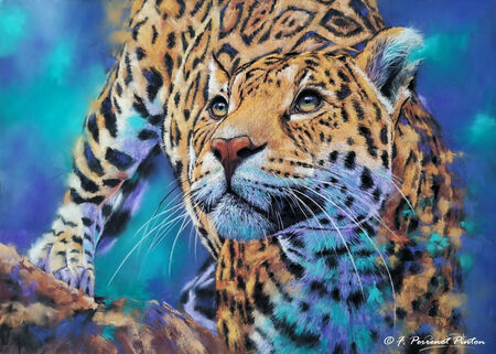 "Ana&iuml;a" 50 x 70 cm sur pastelmat d'apr&egrave;s photo Cynthia Ten Bras