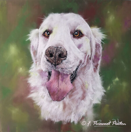 "Api"version 1 pastel 30x30 cm sur papier pastelmat