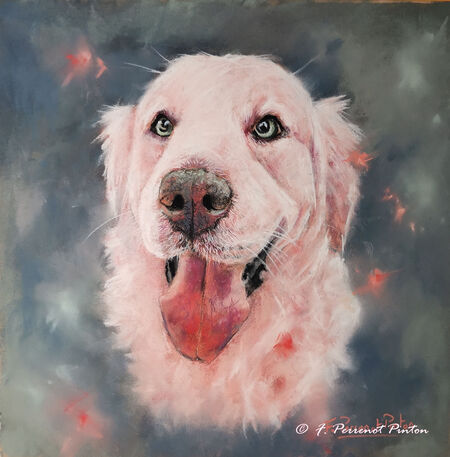 "Api" version 2 pastel 30x30 cm sur papier pastelmat