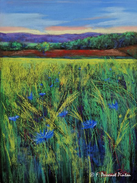 "Arthemonay-Dr&ocirc;me des collines" 40 x 30 cm papier pastelmat