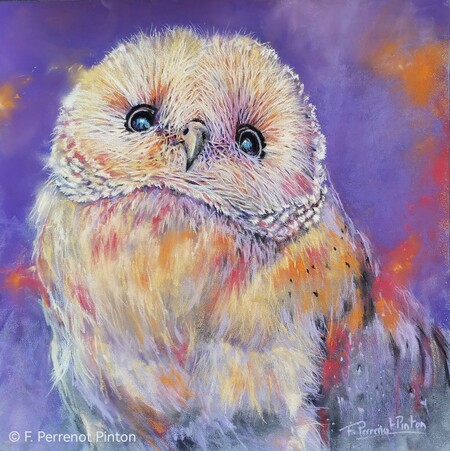 "Boule de plumes" 30 X 30 cm sur papier pastelmat