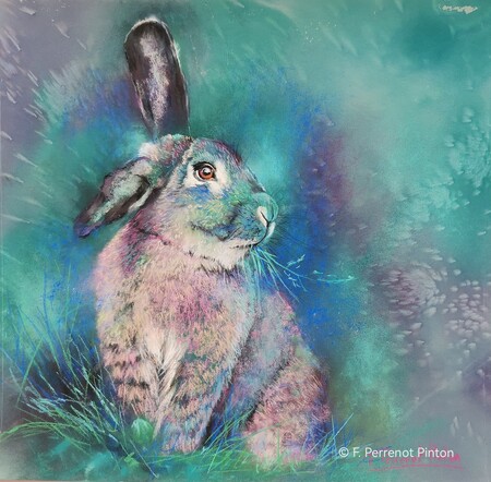 Brin de lapin 30 X30 cm sur pastelmat photo pixabay
