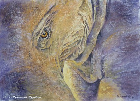 D&eacute;fense de toucher Pastel sur fond aquarelle d'apr&egrave;s photo Geobert Quach (40 x50 cm)