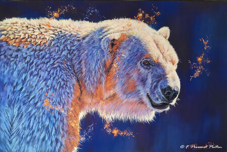 "Eclats polaire" 50 x 70 cm sur papier pastelmat