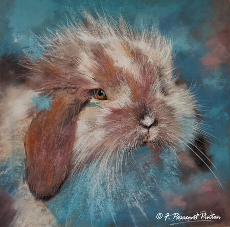 "Elio" 30 x30 cm sur pastelmat d'apr&egrave;s photo pixabay (d&eacute;mo)