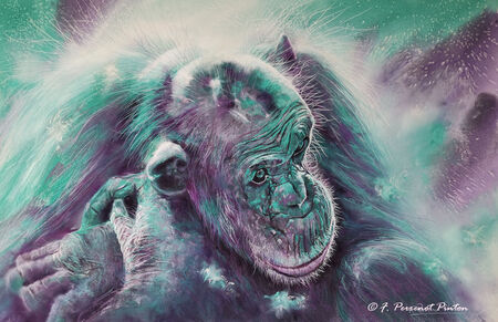 "Fia" pastel 50x70 sur pastelmat fond aquarelle d'apr&egrave;s photo Stephen Bullock