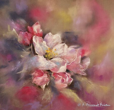 "Fleurs de cerisier" pastel 30 x 30 cm photo pixabay