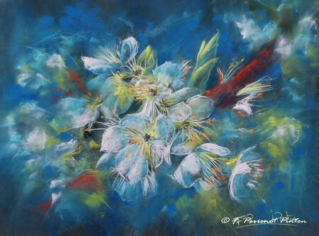 "Fleurs de mirabellier" pastel 30x40 cm pastelmat