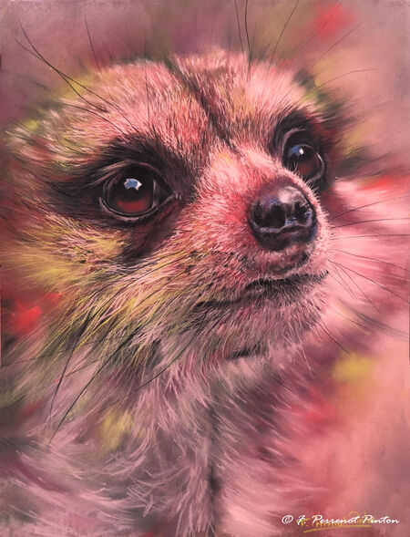 "Gaby" 30 X 40 cm sur papier pastelmat photo pixabay