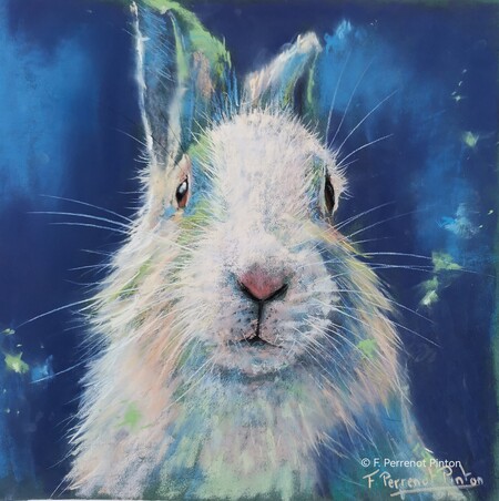 Pimpin, 30x30 cm d&eacute;mo fait au salon du pastel en Bourgogne