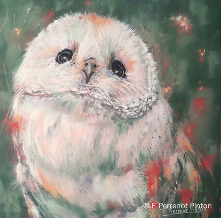 "Boule de plumes" 30 x "&agrave; cm sur papier pastelmat