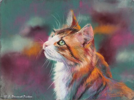 " Je te regarde..." Pastel 30 x 40  cm