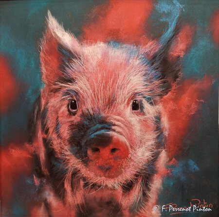 " Joe" 30 x 30 cm Photo Pixabay