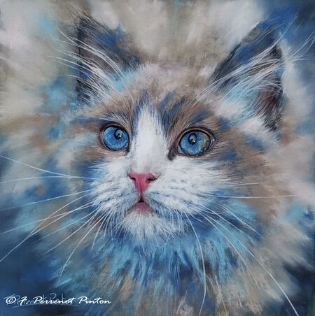 "Jun" 30 x 30 cm papier pastelmat photo pixabay