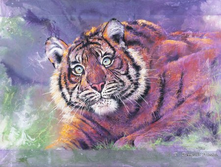 L'oeil du tigre Pastel sur fond aquarelle d'apr&egrave;s photo Jan Willemsen 60 x80 cm