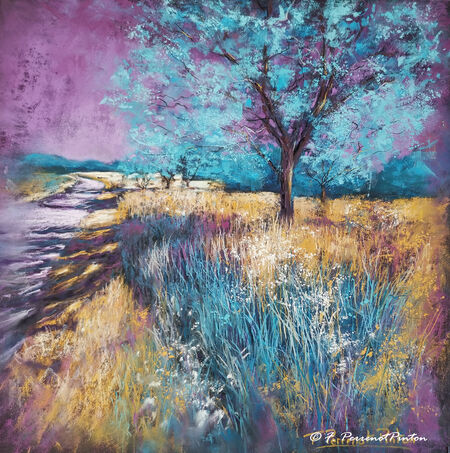 "La Dr&ocirc;me en couleurs" 30 X 30 cm pastelmat