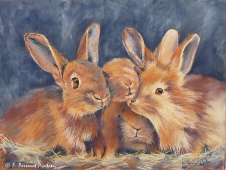 La famille Lapin d'apr&egrave;s photo de Pascal  (pastel sur pastelmat 30 x 40 cm)