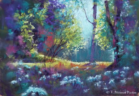 "La for&ecirc;t de Foug&egrave;res" (Bretagne) 34x48 cm