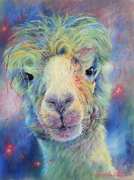 "Lama-Th&eacute;rapie" 30 X 40 cm sur papier pastelmat