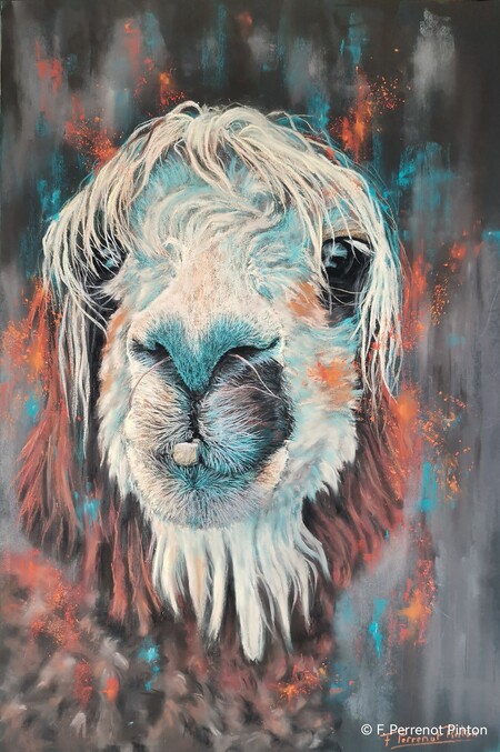 "Lamacool" pastel 40x60 cm sur pastelmat d'apr&egrave;s photo Elisabeth Wilt free reference for artist