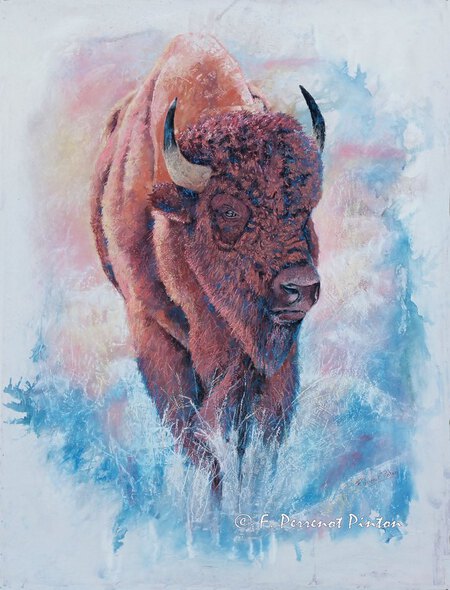 Le bison pastel sur fond aquarelle 60 x 80 cm d'apr&egrave;s photo Lorraine Logan