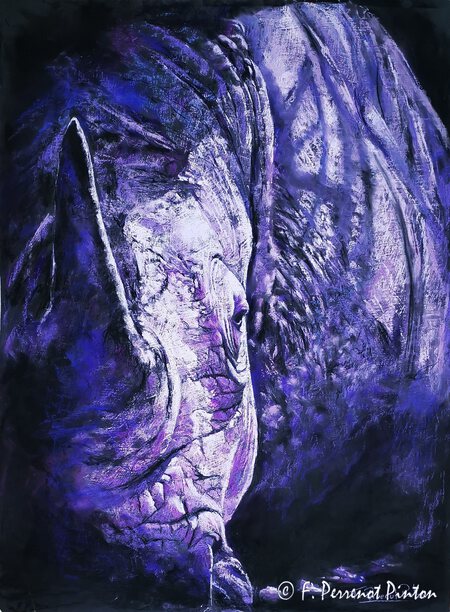 "Le Rhinoc&eacute;ros" Pastel 80 x 60 cm d'apr&egrave;s photo Stephen Bullock