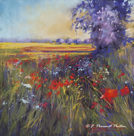"Le champs de coquelicots "20 x 20 cm sur pastelmat