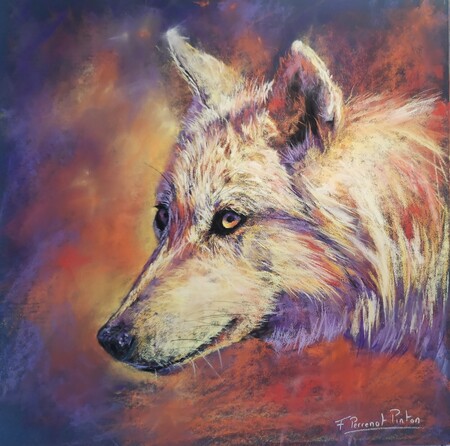 "Le loup blanc" 30 X 30 cm sur papier pastelmat