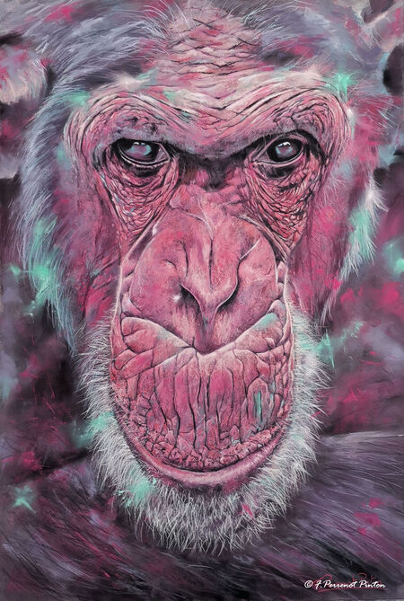 "Le monde d'apr&egrave;s" 40 x 60 cm Uart 800 d'apr&egrave;s photo Stephen Bullock