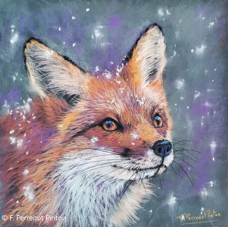 "Le renard sous la neige" 30 X 30 cm sur papier pastelmat