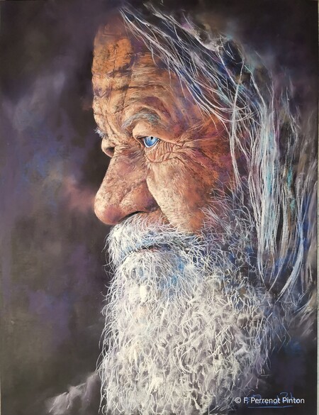 Le sage 40 x 50 cm sur pastelmat photo pixabay