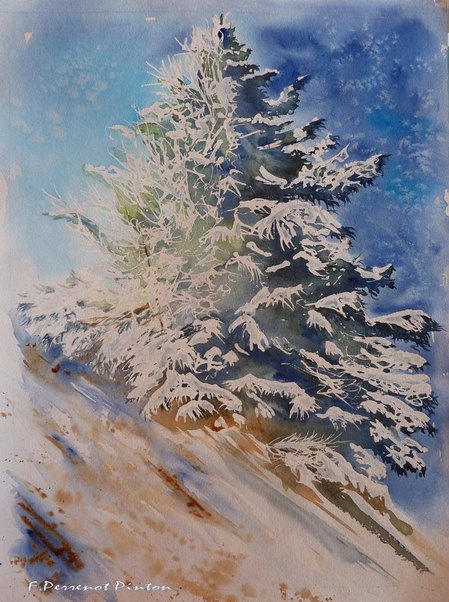 Le sapin (30 x 40) d'apr&egrave;s photo de Pierre Mounier
