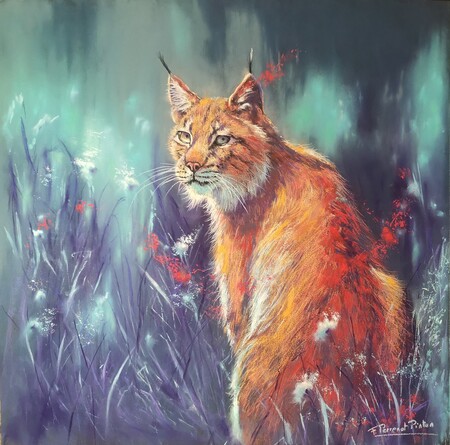 "Le veilleur mystique" pastel 50x50 cm d'apr&egrave;s photo Wendy Hodgkins Corniquet sur pastelmat
