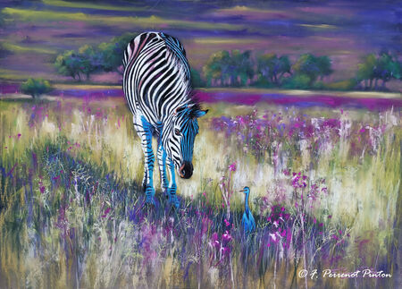 "Le z&eacute;bre" 50 x 70 cm sur pastelmat d'apr&egrave;s photo Mauritz de Villiers