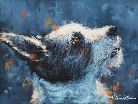 "L&eacute;o " 30 x 40 cm papier pastelmat