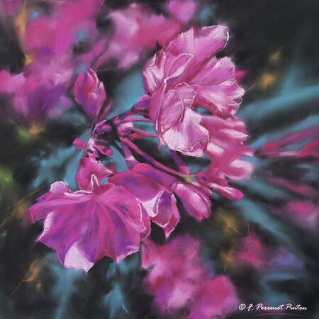 "Les lauriers" pastel 40 x40 cm sur pastelmat photo personnel