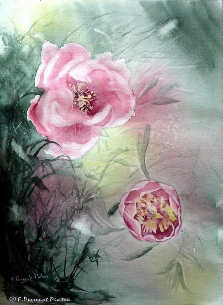 Les pivoines (40 x 50 cm)