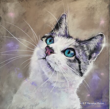 Lily pastel 30 x 30 cm  d'apr&egrave;s photo Sandy Dammekens