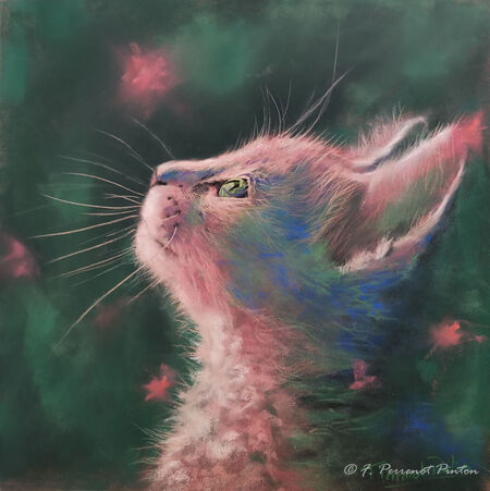 "Lou" 30 X 30 cm sur pastelmat d'apr&egrave;s photo pixabay (demo)