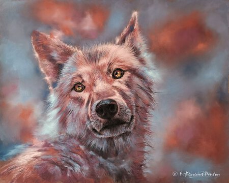 "Lupo" 40x50 cm photo pixabay