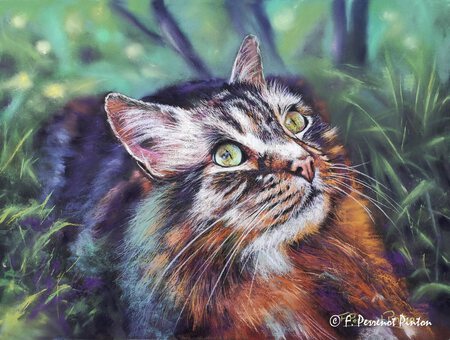 "Merlin" 30 x 40 cm papier pastelmat